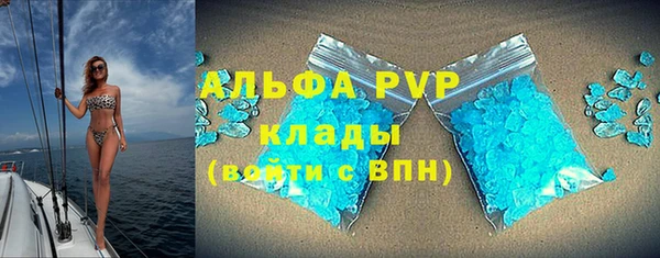 дживик Верея