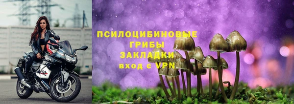 дживик Верея